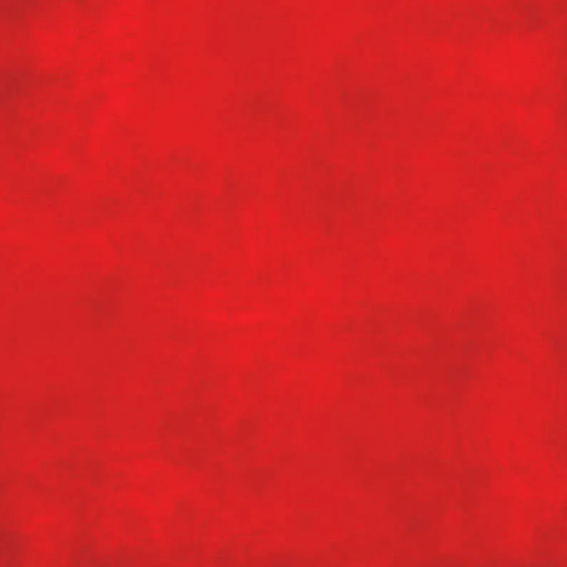 CRICUT 2006767 - 4 F. TRANSFERT INFUSIBLE INK 30,5X30,5 CM ACIER – Image 5