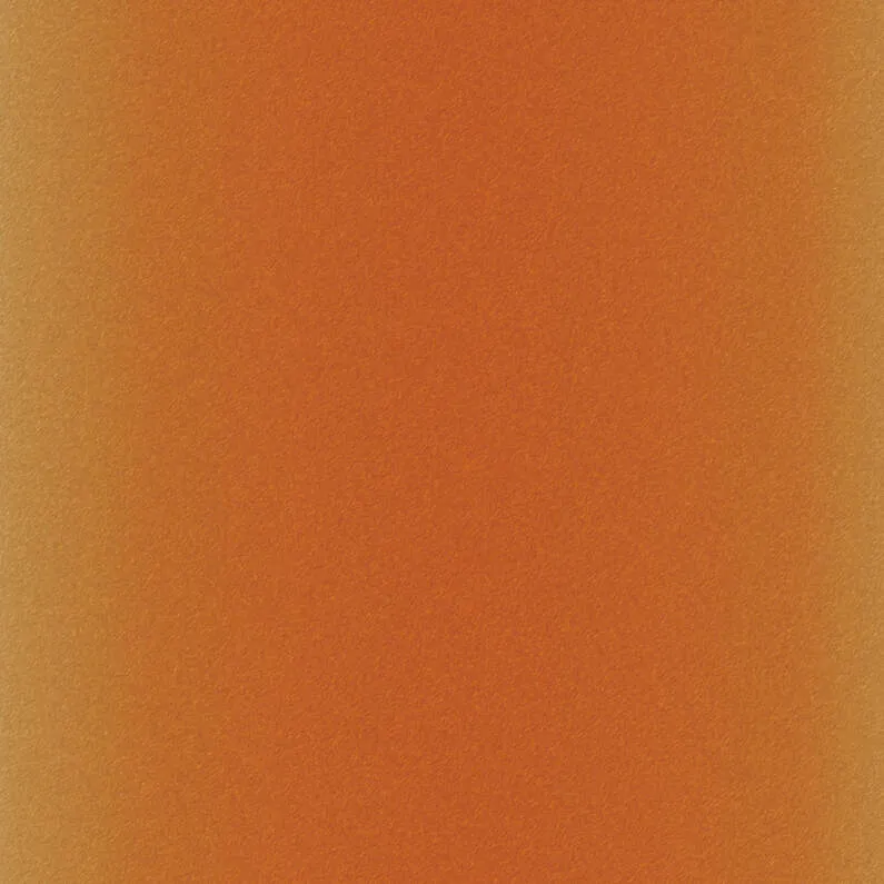 CRICUT 2006772 - 2 FEUILLES INFUSIBLE INK - LEOPARD -30,5x30,5cm – Image 3