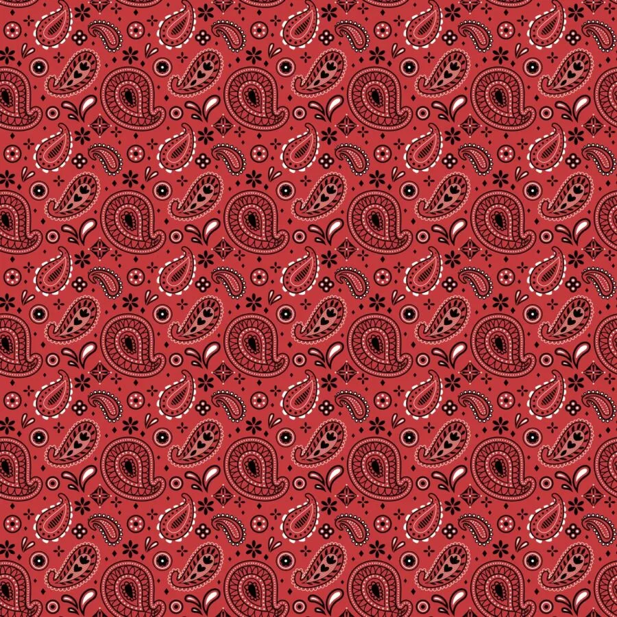 CRICUT 2006770 - 4 F. TRANSFERT INFUSIBLE INK 30,5X30,5 CM WESTERN – Image 2