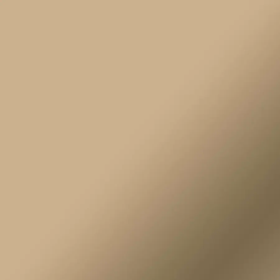 CRICUT 2008658 - SMART VINYL PERMANENT - 33 x 366 cms - 1F - CHAMPAGNE – Image 2